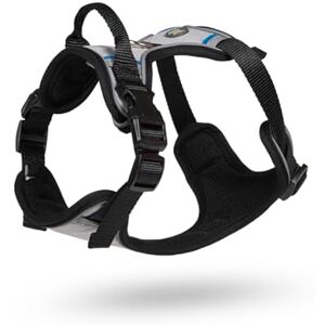 Petface Outdoor Paws Adventure Dog Harness, Silver/Grey, Medium (Pack of 1) Petface Outdoor Paws Adventure Dog Harness, Silver/Grey, Medium (Pack of 1)