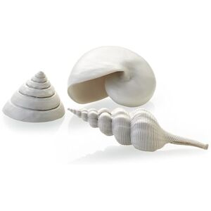 biOrb Fish Tank Decorations, Ceramic Sea Shells (Set of 3 Aquarium Ornaments, White), Artificial Fish Tank Accessories To Add Colour, Detailed Natural-Looking Aquarium Decor For Scenic Background biOrb Fish Tank Decorations, Ceramic Sea Shells (Set of 3 Aquarium Ornaments, White), Artificial Fish Tank Accessories To Add Colour, Detailed Natural-Looking Aquarium Decor For Scenic Background