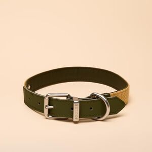 Rosewood x Joules Khaki Dog Collar, Large – Durable Leather and Webbing Detail, Stylish Design with Brushed Metal Buckle, Premium Pet Accessory Rosewood x Joules Khaki Dog Collar, Large – Durable Leather and Webbing Detail, Stylish Design with Brushed Metal Buckle, Premium Pet Accessory