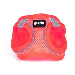 GLORIA LO MEJOR PARA TU MEJOR AMIGO Harness for Dog Gloria Trek Star 29.5-32.5 cm 41.5-43 cm Pink S GLORIA LO MEJOR PARA TU MEJOR AMIGO Harness for Dog Gloria Trek Star 29.5-32.5 cm 41.5-43 cm Pink S