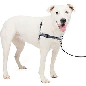 PetSafe Easy Walk Deluxe Dog Harness, No Pull Dog Harness – Perfect for Leash & Harness Training – Stops Pets from Pulling and Choking on Walks – Medium/Large, Steel PetSafe Easy Walk Deluxe Dog Harness, No Pull Dog Harness – Perfect for Leash & Harness Training – Stops Pets from Pulling and Choking on Walks – Medium/Large, Steel
