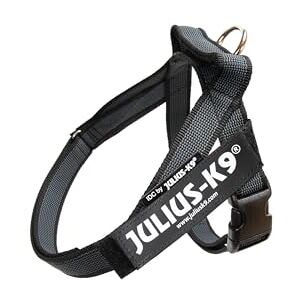 Julius-K9 , IDC Color & Gray Belt Harness, Size: S/Mini, Black-Gray Julius-K9 , IDC Color & Gray Belt Harness, Size: S/Mini, Black-Gray