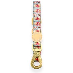 Pawsome Paws Boutique Winnie the Pooh Dog Lead 5ft Stylish Disney Dog Leash with Soft Grip & Durable Carabiner Clip Pawsome Paws Boutique Winnie the Pooh Dog Lead 5ft Stylish Disney Dog Leash with Soft Grip & Durable Carabiner Clip