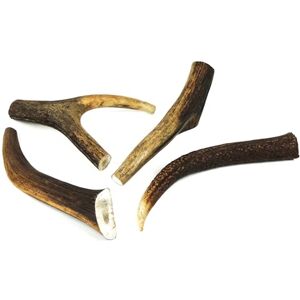 CLASSIC Natural Deer Antler Dog Chew Large, 5 Inches (13cm), 100-150g Long-Lasting, All-Natural Dental Chew for Large Dogs Promotes Healthy Teeth and Gums CLASSIC Natural Deer Antler Dog Chew Large, 5 Inches (13cm), 100-150g Long-Lasting, All-Natural Dental Chew for Large Dogs Promotes Healthy Teeth and Gums