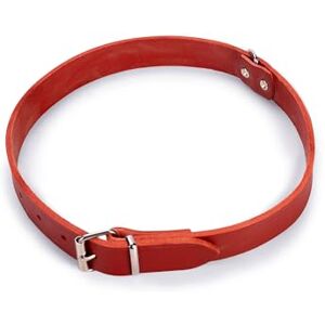 Karlie Rondo 02089 Collar Riveted Length 70 cm Width 25 mm Red Karlie Rondo 02089 Collar Riveted Length 70 cm Width 25 mm Red
