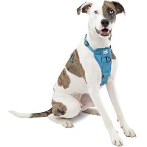 Kurgo Tru-Fit Smart Dog Walking Harness Comfortable Fit Adjustable Harness Reflective Pet Wear Quick Strap Release Daily Walk Accessory Includes Seat Belt Loop Blue Medium Kurgo Tru-Fit Smart Dog Walking Harness Comfortable Fit Adjustable Harness Reflective Pet Wear Quick Strap Release Daily Walk Accessory Includes Seat Belt Loop Blue Medium