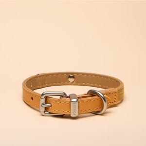 Rosewood x Joules Tan Dog Collar, Small – Durable Leather and Webbing Detail, Stylish Design with Brushed Metal Buckle, Premium Pet Accessory Rosewood x Joules Tan Dog Collar, Small – Durable Leather and Webbing Detail, Stylish Design with Brushed Metal Buckle, Premium Pet Accessory