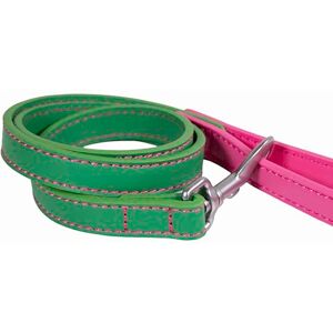 Rosewood Vegan Leather Dog Lead – PU Leather Pet Leash for Small, Medium & Large Dogs – Stylish, Durable Lead with Metal Hardware – Green/Pink, 102cm Rosewood Vegan Leather Dog Lead – PU Leather Pet Leash for Small, Medium & Large Dogs – Stylish, Durable Lead with Metal Hardware – Green/Pink, 102cm