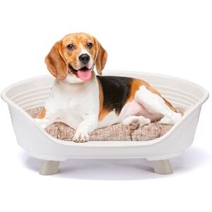 Ferplast Dog Bed & Cat Bed with Cotton Cushion, Raised Dog Bed, Plastic Dog Bed Medium, Dog Bed Washable, Dog Basket, Breathable & Antislip, THRONE 70,5 x 52 x h 28,5 cm, White Ferplast Dog Bed & Cat Bed with Cotton Cushion, Raised Dog Bed, Plastic Dog Bed Medium, Dog Bed Washable, Dog Basket, Breathable & Antislip, THRONE 70,5 x 52 x h 28,5 cm, White