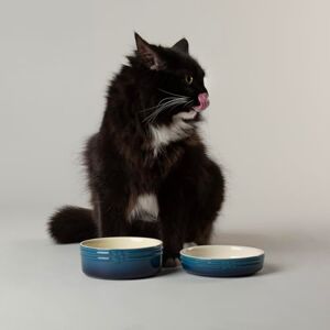 Scruffs Ombre 2pc Cermaic Cat Food & Drink Bowl Set Blue Scruffs Ombre 2pc Cermaic Cat Food & Drink Bowl Set Blue