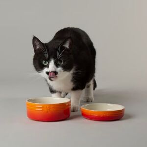 Scruffs Ombre 2pc Cermaic Cat Food & Drink Bowl Set Orange Scruffs Ombre 2pc Cermaic Cat Food & Drink Bowl Set Orange