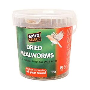 Extra Select Dried Mealworms for Wild Birds: Protein Rich Wild Bird Food for Robins and Wildlife Meal Worms for Garden Birds 1 Litre Tub Extra Select Dried Mealworms for Wild Birds: Protein Rich Wild Bird Food for Robins and Wildlife Meal Worms for Garden Birds 1 Litre Tub