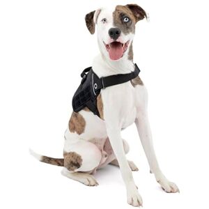 Kurgo RSG Townie Dog Harness - Durable, Adjustable, Easy to Use Kurgo RSG Townie Dog Harness - Durable, Adjustable, Easy to Use