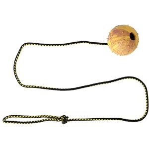 Dingo Waldemar Rutkowski DINGO Nubby Dog Ball Fully Rubber-Filled, with 100 cm Long Rope Suitable for Fetching, Dog Sports, Agility, Tug of War, Playtime Large Size Random Colour (17319-2) Dingo Waldemar Rutkowski DINGO Nubby Dog Ball Fully Rubber-Filled, with 100 cm Long Rope Suitable for Fetching, Dog Sports, Agility, Tug of War, Playtime Large Size Random Colour (17319-2)