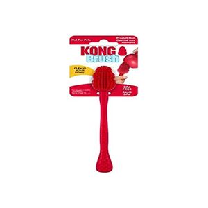 KONG Brush for Cleaning Dog Toys