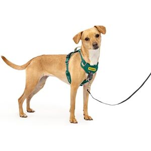 PetSafe Easy Walk Comfort No-Pull Dog Harness Full-Body Padding Better Walks on 1st Use 5 Points of Adjustment, XS, Small, Medium & Large Dogs, Blue/Black/Green/Pink PetSafe Easy Walk Comfort No-Pull Dog Harness Full-Body Padding Better Walks on 1st Use 5 Points of Adjustment, XS, Small, Medium & Large Dogs, Blue/Black/Green/Pink