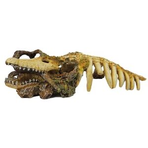 CLASSIC Crocodile Skeleton with wood 297x130x70mm CLASSIC Crocodile Skeleton with wood 297x130x70mm