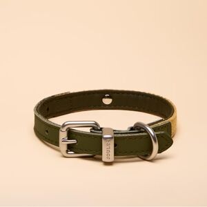 Rosewood x Joules Khaki Dog Collar, Small – Durable Leather and Webbing Detail, Stylish Design with Brushed Metal Buckle, Premium Pet Accessory Rosewood x Joules Khaki Dog Collar, Small – Durable Leather and Webbing Detail, Stylish Design with Brushed Metal Buckle, Premium Pet Accessory