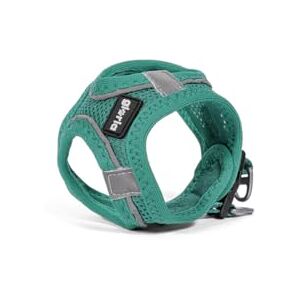 GLORIA LO MEJOR PARA TU MEJOR AMIGO Gloria Dog harness Trek Star 24-26 cm 28-28.8 cm Turquoise XXS GLORIA LO MEJOR PARA TU MEJOR AMIGO Gloria Dog harness Trek Star 24-26 cm 28-28.8 cm Turquoise XXS
