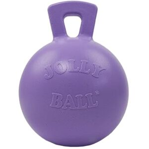 Jolly Pets Tug-n-Toss Heavy Duty Dog Toy Ball with Handle, 8 Inches/Large, Light Purple Jolly Pets Tug-n-Toss Heavy Duty Dog Toy Ball with Handle, 8 Inches/Large, Light Purple