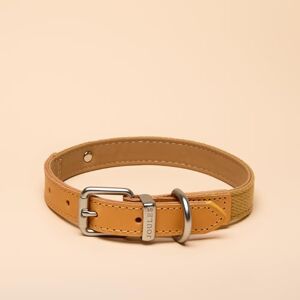 Rosewood x Joules Tan Dog Collar, Medium – Durable Leather and Webbing Detail, Stylish Design with Brushed Metal Buckle, Premium Pet Accessory Rosewood x Joules Tan Dog Collar, Medium – Durable Leather and Webbing Detail, Stylish Design with Brushed Metal Buckle, Premium Pet Accessory