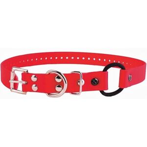 Educator Bungee Dog Collar - Red - Waterproof & Adjustable Educator Bungee Dog Collar - Red - Waterproof & Adjustable