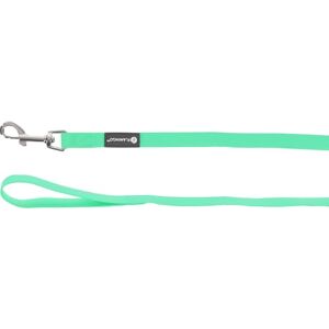 Flamingo Dog Training and tracking leash Caspar Mint green 15m 17mm Flamingo Dog Training and tracking leash Caspar Mint green 15m 17mm