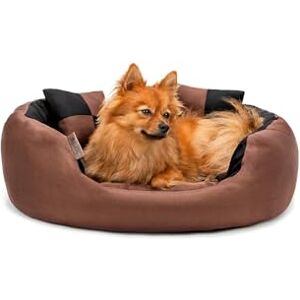 lionto Dog bed 4-in-1 with reversible cushion in Oxford, 65x50 cm, scratch-resistant pet bed with deep entry for cats and dogs, incl. decorative pillow, water-repellent, black/brown lionto Dog bed 4-in-1 with reversible cushion in Oxford, 65x50 cm, scratch-resistant pet bed with deep entry for cats and dogs, incl. decorative pillow, water-repellent, black/brown