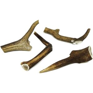 CLASSIC Natural Deer Antler Dog Chew XXL, 7 Inches (19cm), 200-250g Long-Lasting, All-Natural Dental Chew for Extra Large Dogs Promotes Healthy Teeth and Gums CLASSIC Natural Deer Antler Dog Chew XXL, 7 Inches (19cm), 200-250g Long-Lasting, All-Natural Dental Chew for Extra Large Dogs Promotes Healthy Teeth and Gums