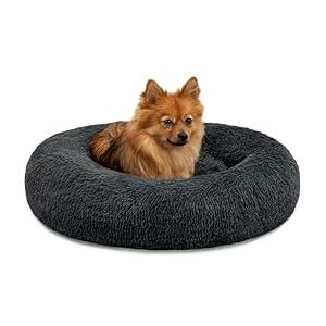 lionto Donut bed for dogs and cats, fluffy round dog bed for small and large pets, Ø 60 cm, soft cat bed made of cuddly plush, dog cushion with extra thick filling, dark grey lionto Donut bed for dogs and cats, fluffy round dog bed for small and large pets, Ø 60 cm, soft cat bed made of cuddly plush, dog cushion with extra thick filling, dark grey
