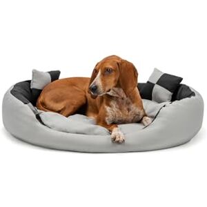lionto Dog bed 4-in-1 with reversible cushion in Oxford, 85x70 cm, scratch-resistant pet bed with deep entry for cats and dogs, incl. decorative pillow, water-repellent, black/grey lionto Dog bed 4-in-1 with reversible cushion in Oxford, 85x70 cm, scratch-resistant pet bed with deep entry for cats and dogs, incl. decorative pillow, water-repellent, black/grey