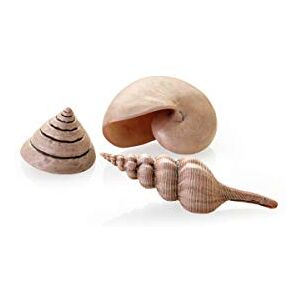 biOrb Fish Tank Decorations, Ceramic Sea Shells (Set of 3 Aquarium Ornaments, Natural Colour), Artificial Fish Tank Accessories To Add Colour, Natural-Looking Aquarium Decor For Scenic Background biOrb Fish Tank Decorations, Ceramic Sea Shells (Set of 3 Aquarium Ornaments, Natural Colour), Artificial Fish Tank Accessories To Add Colour, Natural-Looking Aquarium Decor For Scenic Background