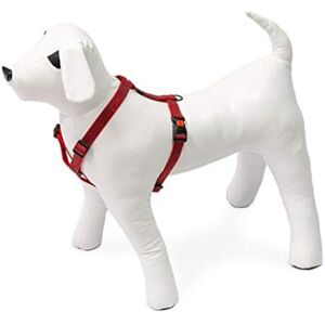 Karlie Art Sportiv Plus Harness with Printed Motif Mix and Match B: 10 mm Br um: 25-40 cm Graphic Karlie Art Sportiv Plus Harness with Printed Motif Mix and Match B: 10 mm Br um: 25-40 cm Graphic