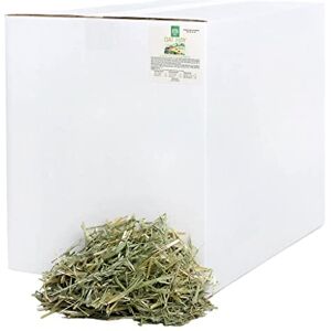 SMALL PET SELECT – Oat Hay Pet Food, 40lb (18kg) Box High-Fiber, Aromatic Hay for Rabbits, Guinea Pigs & Small Pets Easy-to-Store Packaging SMALL PET SELECT – Oat Hay Pet Food, 40lb (18kg) Box High-Fiber, Aromatic Hay for Rabbits, Guinea Pigs & Small Pets Easy-to-Store Packaging