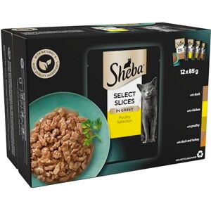Sheba Select Slices in Gravy – Poultry Selection – Wet Cat Food Pouches for Adult Cats – Pack of 4 (4 x 12 Pouches x 85 g) Sheba Select Slices in Gravy – Poultry Selection – Wet Cat Food Pouches for Adult Cats – Pack of 4 (4 x 12 Pouches x 85 g)