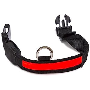 Arquivet Luminous LED Dog Collar Red Medium 38-50cm 2.5cm Arquivet Luminous LED Dog Collar Red Medium 38-50cm 2.5cm