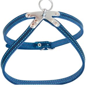 JACK AND VANILLA , Strong Leather Pet Harness, Custom Fit, Easy to Use, Elegant Blue Colour, Size 10 mm x 30 cm, Comfort and Safety Assured, Leather Model JACK AND VANILLA , Strong Leather Pet Harness, Custom Fit, Easy to Use, Elegant Blue Colour, Size 10 mm x 30 cm, Comfort and Safety Assured, Leather Model