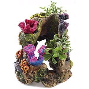 CLASSIC Coral Garden Aquarium Ornament 100 x 100 x 125 mm Hand-Painted Non-Toxic Resin Decoration for Freshwater Tanks CLASSIC Coral Garden Aquarium Ornament 100 x 100 x 125 mm Hand-Painted Non-Toxic Resin Decoration for Freshwater Tanks