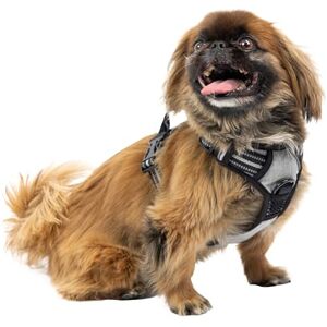 Ferplast Small Dog Harness, 2 Hooks, No Pull, Adjustable, Reflective, Grey Ferplast Small Dog Harness, 2 Hooks, No Pull, Adjustable, Reflective, Grey