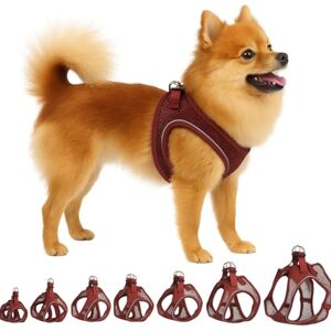 Flamingo Step-Go Bento Harness – Aubergine, S (A:30-35 cm, B:37-40 cm, 3 mm), Comfortable and Adjustable, Ideal for Jack Russell Terrier, French Bulldog, Miniature Schnauzer, Pug, etc. Flamingo Step-Go Bento Harness – Aubergine, S (A:30-35 cm, B:37-40 cm, 3 mm), Comfortable and Adjustable, Ideal for Jack Russell Terrier, French Bulldog, Miniature Schnauzer, Pug, etc.