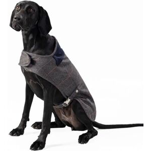 Hugo Boss x HACKETT Tweed Dog Jacket Coat Corduroy Collar, Grey Checked Herringbone XS25 Hugo Boss x HACKETT Tweed Dog Jacket Coat Corduroy Collar, Grey Checked Herringbone XS25