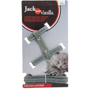 JACK AND VANILLA , Leather Cat Harness with Lead 100 cm, Customised Fit, Elegant Design, Optimal Comfort, Ideal for Walks, Size 10 mm, Grey, Fat Leather Model JACK AND VANILLA , Leather Cat Harness with Lead 100 cm, Customised Fit, Elegant Design, Optimal Comfort, Ideal for Walks, Size 10 mm, Grey, Fat Leather Model