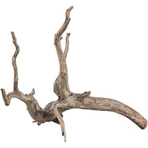 sera Scaper Root (Price Per Root) Various Sizes Natural Wood Decoration for Aquarium Decoration Aquascaping sera Scaper Root (Price Per Root) Various Sizes Natural Wood Decoration for Aquarium Decoration Aquascaping