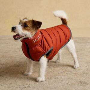 Rosewood x Joules Ketchup Moorsdale Puffer Dog Coat, Small – Reversible Winter Jacket with Zip Closure, Warm, Lightweight, Water-Resistant Pet Coat for Small Dogs Rosewood x Joules Ketchup Moorsdale Puffer Dog Coat, Small – Reversible Winter Jacket with Zip Closure, Warm, Lightweight, Water-Resistant Pet Coat for Small Dogs