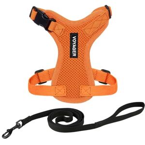 Best Pet Supplies Orange XXS Cat Harness and Leash - Reflective, 5ft Best Pet Supplies Orange XXS Cat Harness and Leash - Reflective, 5ft