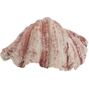 Nobby Aqua Ornaments Shell 19.6 x 16 x 7.8 cm Nobby Aqua Ornaments Shell 19.6 x 16 x 7.8 cm