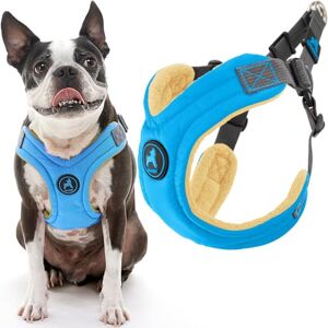 GOOBY Escape Free Memory Foam Harness Blue, Large No Pull Step-in Small Dog Harness with Four Point Adjustment Perfect on The Go Dog Harness for Medium Dogs No Pull and Small Dogs GOOBY Escape Free Memory Foam Harness Blue, Large No Pull Step-in Small Dog Harness with Four Point Adjustment Perfect on The Go Dog Harness for Medium Dogs No Pull and Small Dogs