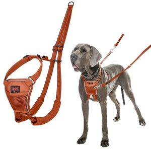 Halti No Pull Harness To Stop Your Dog Pulling on the Leash. Adjustable, Lightweight and Easy to Use. Reflective Dog Training Harness for Large Dogs (Size L, Burnt Orange) Halti No Pull Harness To Stop Your Dog Pulling on the Leash. Adjustable, Lightweight and Easy to Use. Reflective Dog Training Harness for Large Dogs (Size L, Burnt Orange)