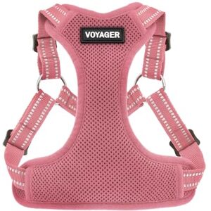 Best Pet Supplies Voyager Adjustable Dog Harness with Reflective Stripes by , Heavy-Duty Full Body No Pull Vest with Leash D-Ring, Breathable, Pink, size L Best Pet Supplies Voyager Adjustable Dog Harness with Reflective Stripes by , Heavy-Duty Full Body No Pull Vest with Leash D-Ring, Breathable, Pink, size L