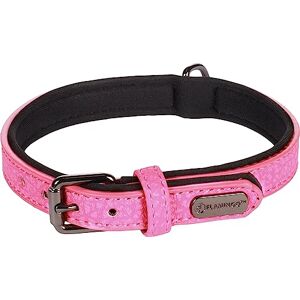 Flamingo Dog Collar With neoprene Leza Pink S 29-35cm 15mm Flamingo Dog Collar With neoprene Leza Pink S 29-35cm 15mm